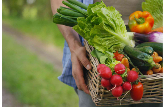 Agricultura ecológica: ventajas y desventajas